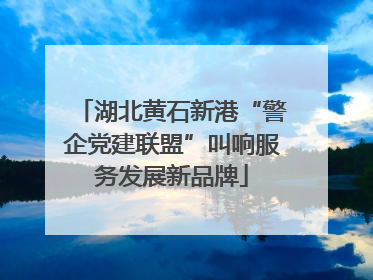 湖北黄石新港“警企党建联盟”叫响服务发展新品牌