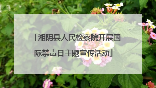 湘阴县人民检察院开展国际禁毒日主题宣传活动