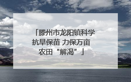 滕州市龙阳镇科学抗旱保苗 力保万亩农田“解渴”