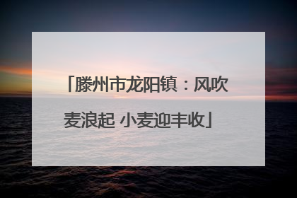 滕州市龙阳镇：风吹麦浪起 小麦迎丰收