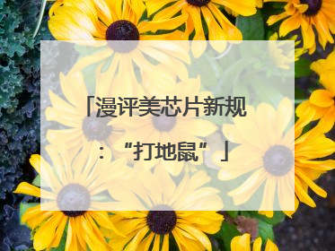 漫评美芯片新规：“打地鼠”