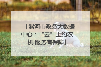 漯河市政务大数据中心：“云”上约农机 服务有保障