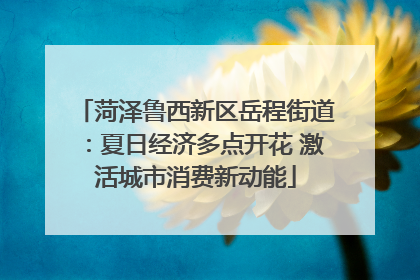 菏泽鲁西新区岳程街道：夏日经济多点开花 激活城市消费新动能