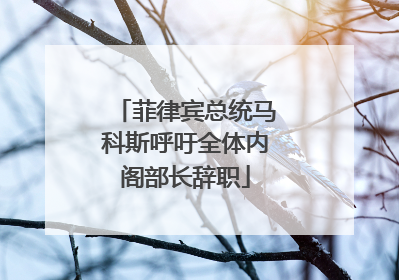 菲律宾总统马科斯呼吁全体内阁部长辞职