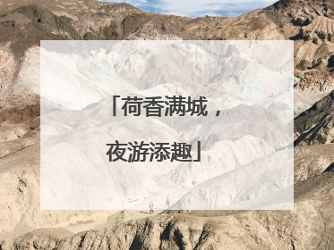 荷香满城，夜游添趣