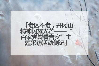 老区不老，井冈山精神闪耀光芒——“百家党媒看吉安”主题采访活动侧记