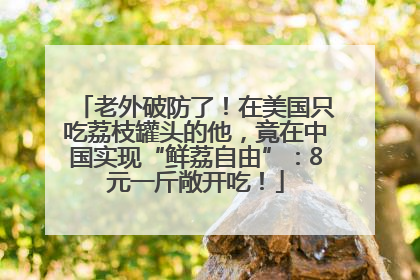 老外破防了！在美国只吃荔枝罐头的他，竟在中国实现“鲜荔自由”：8元一斤敞开吃！
