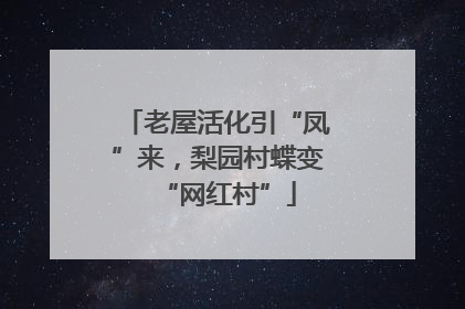 老屋活化引“凤”来，梨园村蝶变“网红村”