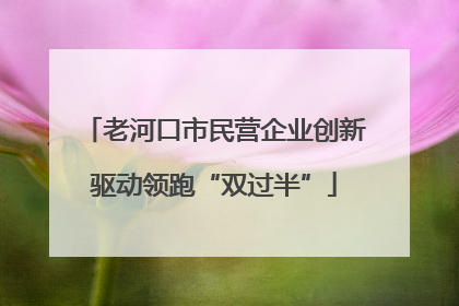 老河口市民营企业创新驱动领跑“双过半”