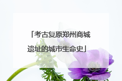 考古复原郑州商城遗址的城市生命史