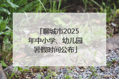 聊城市2025年中小学、幼儿园暑假时间公布