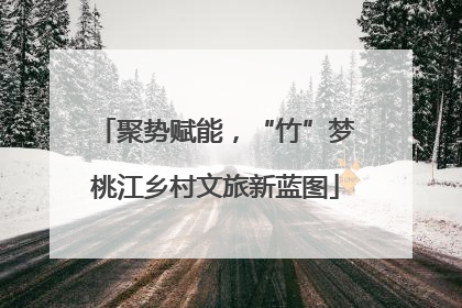 聚势赋能，“竹”梦桃江乡村文旅新蓝图