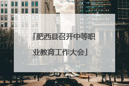肥西县召开中等职业教育工作大会