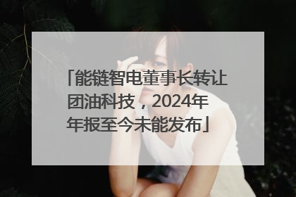 能链智电董事长转让团油科技，2024年年报至今未能发布