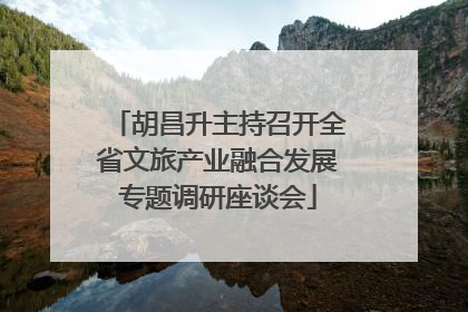 胡昌升主持召开全省文旅产业融合发展专题调研座谈会