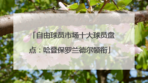 自由球员市场十大球员盘点：哈登保罗兰德尔领衔