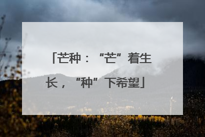 芒种：“芒”着生长，“种”下希望
