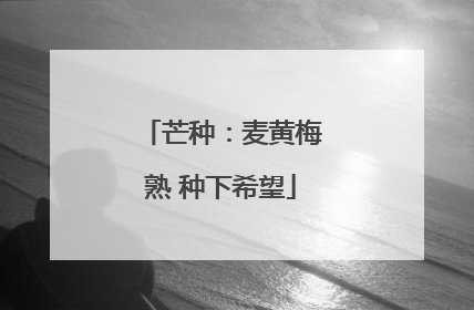 芒种：麦黄梅熟 种下希望