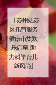 苏州姑苏区托育服务健康市集欢乐启幕 助力科学育儿新风尚