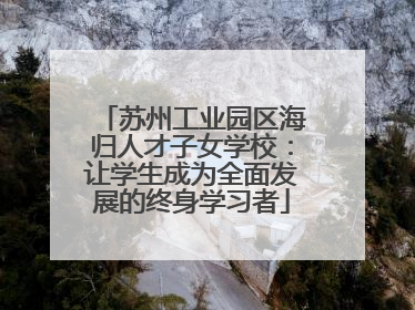 苏州工业园区海归人才子女学校：让学生成为全面发展的终身学习者
