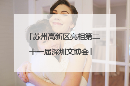 苏州高新区亮相第二十一届深圳文博会