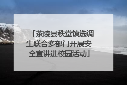 茶陵县秩堂镇选调生联合多部门开展安全宣讲进校园活动