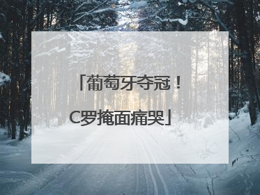 葡萄牙夺冠！C罗掩面痛哭