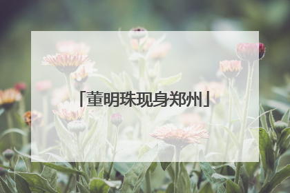 董明珠现身郑州