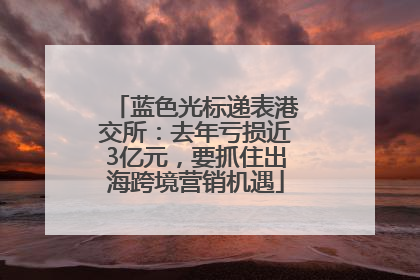 蓝色光标递表港交所：去年亏损近3亿元，要抓住出海跨境营销机遇