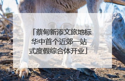 蔡甸新添文旅地标 华中首个近郊一站式度假综合体开业