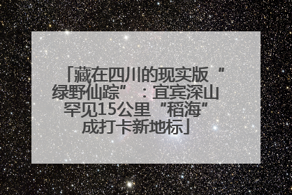 藏在四川的现实版“绿野仙踪”：宜宾深山罕见15公里“稻海”成打卡新地标