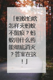 蚂蚁怕啥怎样灭蚂蚁不留痕？蚂蚁用什么药能彻底消灭？答案在这！