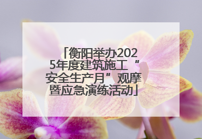 衡阳举办2025年度建筑施工“安全生产月”观摩暨应急演练活动