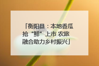 衡阳县：本地香瓜抢“鲜”上市 农旅融合助力乡村振兴