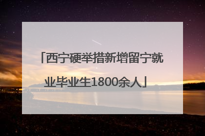 西宁硬举措新增留宁就业毕业生1800余人