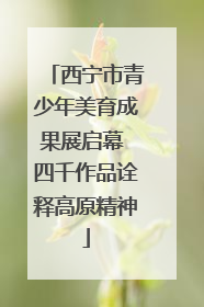 西宁市青少年美育成果展启幕 四千作品诠释高原精神