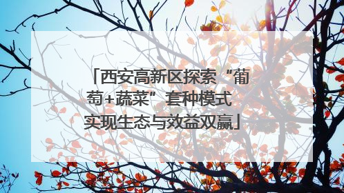 西安高新区探索“葡萄+蔬菜”套种模式 实现生态与效益双赢