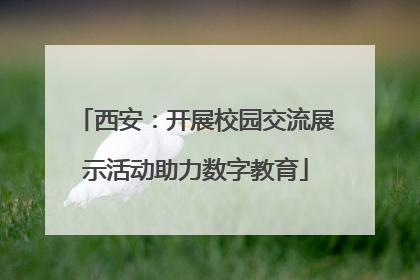 西安：开展校园交流展示活动助力数字教育