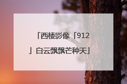 西楼影像「912」白云飘飘芒种天