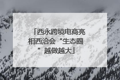 西永跨境电商亮相西洽会“生态圈”越做越大