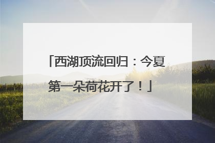 西湖顶流回归：今夏第一朵荷花开了！
