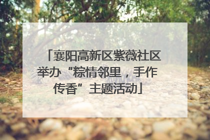 襄阳高新区紫薇社区举办“粽情邻里，手作传香”主题活动