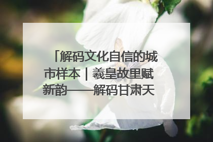 解码文化自信的城市样本｜羲皇故里赋新韵——解码甘肃天水的文化自信样本