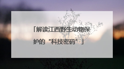 解读江西野生动物保护的“科技密码”