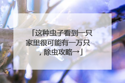 这种虫子看到一只家里很可能有一万只，除虫攻略→