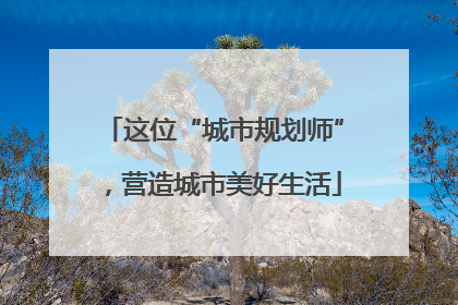 这位“城市规划师”，营造城市美好生活