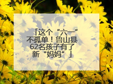 这个“六一”不孤单！鲁山县62名孩子有了新“妈妈”