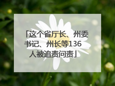 这个省厅长、州委书记、州长等136人被追责问责