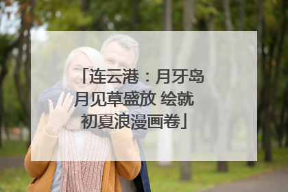 连云港：月牙岛月见草盛放 绘就初夏浪漫画卷