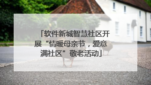 软件新城智慧社区开展“情暖母亲节，爱意满社区”敬老活动